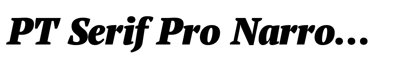 PT Serif Pro Narrow Black Italic